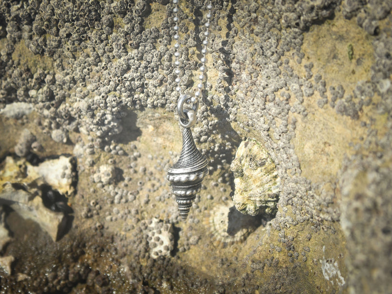 Con una elegancia sutil, el collar 'Susurro del Mar' presenta un colgante de concha con una forma espiral que evoca la delicadeza de las olas al tocar la orilla. Cada detalle finamente labrado en este adorno es un tributo a la riqueza visual del fondo marino. La textura palpable y el diseño intrincado de la espiral hacen que esta pieza sea un emblema de la sofisticación natural. Ideal para quien aprecia la belleza en su estado más puro y busca un toque de distinción en su estilo. Almakaia by Heike Otten.