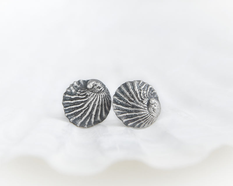 Silver Seashell Earrings Earstuds Front View
