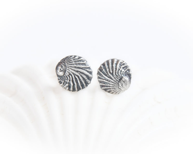 Silver Seashell Earrings Earstuds 
