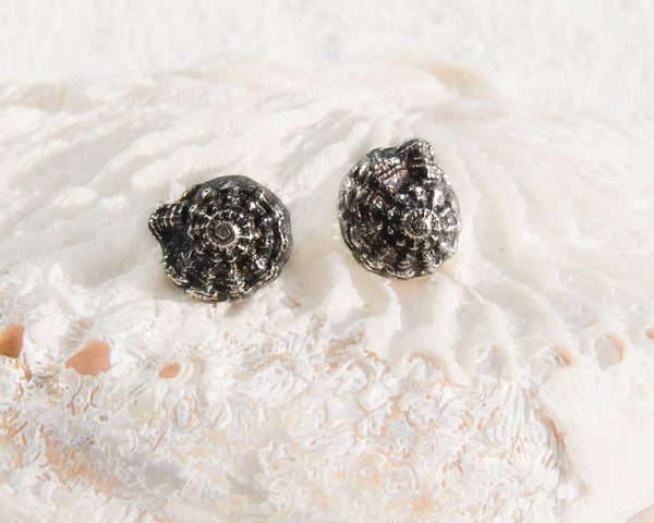 Aretes de plata, motivo caracol marítimo, caracol del mar, oceana, joya de plata