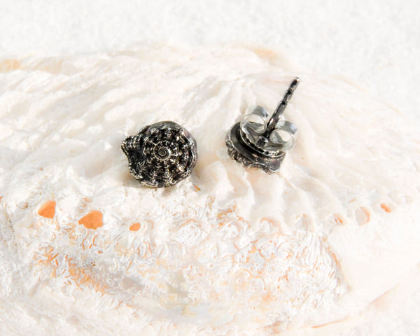 Aretes de plata, motivo caracol marítimo, caracol del mar, oceana, joya de plata