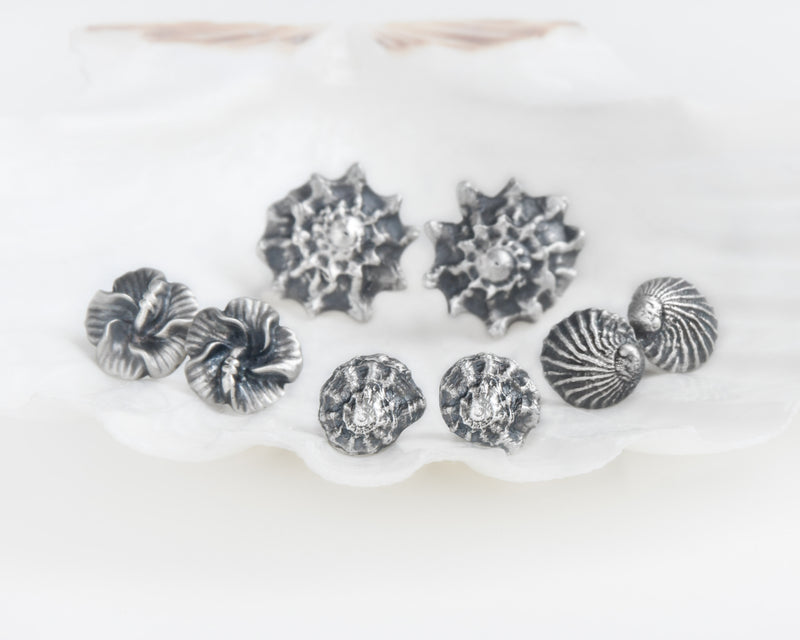 Group of Silver Seashell Earrings Earstuds  Hibiscus Turban Shell