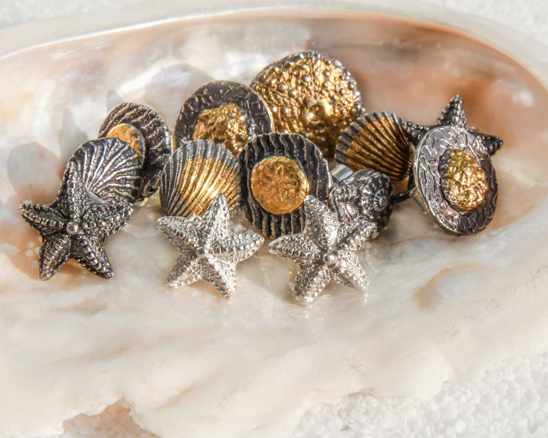 Aretes conchas caracoles estrella erizo de mar