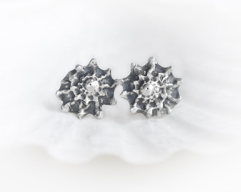 Aretes Conchas de Mar Turbante